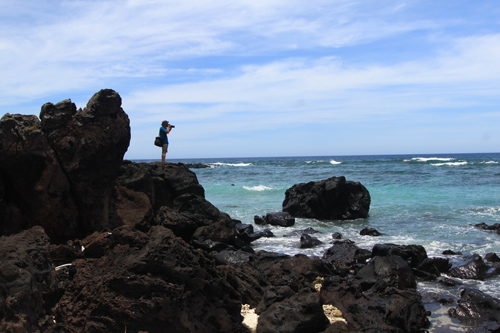 Les belles îles pour la saison du tourisme maritime au Vietnam