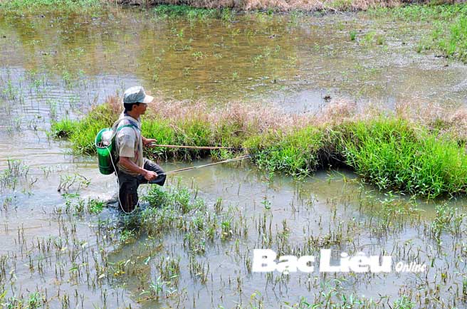 Cần ngăn chặn việc khai thác, đánh bắt cá đồng bằng dụng cụ xung điện
