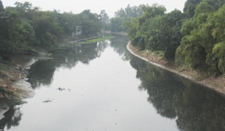 Xây dựng Nghị định xử phạt vi phạm hành chính trong lĩnh vực bảo vệ môi trường