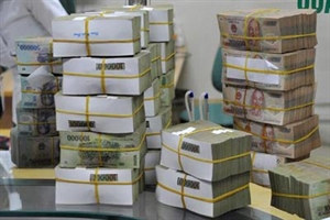 Domestic credit growth climbs to three-year high