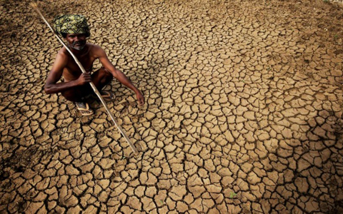 Indian heatwave sees death toll rise