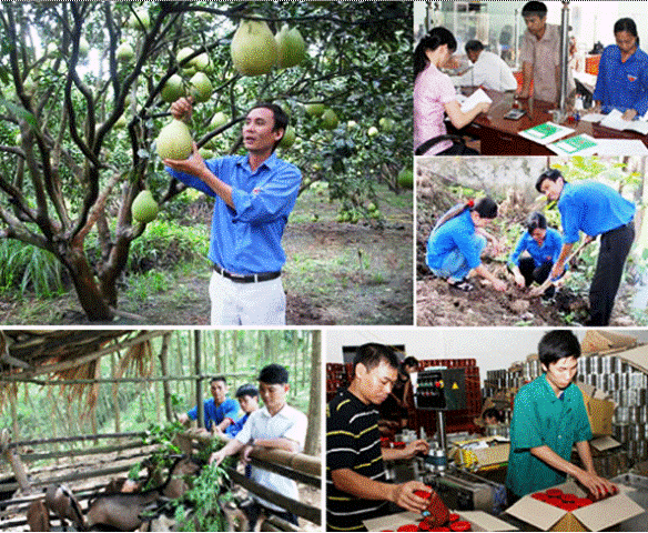 Nêu cao tinh thần xung kích của tuổi trẻ, thực hiện hiệu quả nhiệm vụ ủy thác vốn tín dụng chính sách