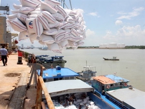 Vietnamese rice hoped to become global trademark by 2030