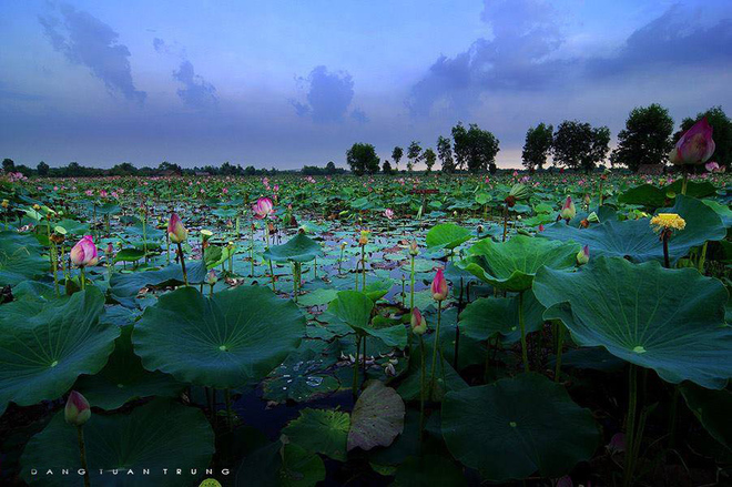 La beauté de la terre et de l’homme du Sud
