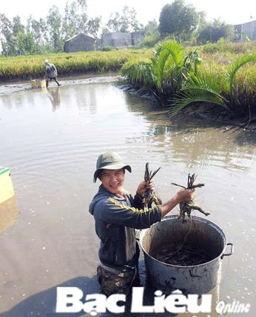 Tiếp tục nhân rộng những mô hình kinh tế hiệu quả