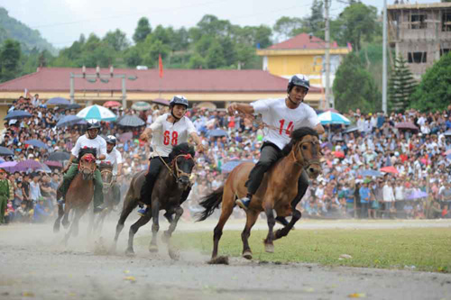 Horse race in Bac Ha plateau