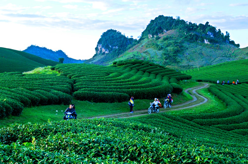 Mộc Châu Bức tranh thiên nhiên kỳ vỹ