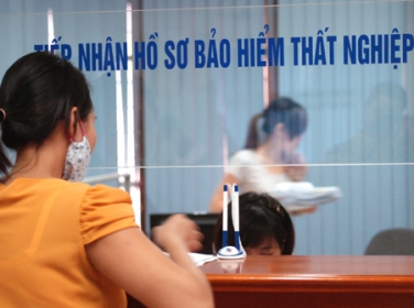 Kết quả đáng ghi nhận sau 6 năm thực hiện bảo hiểm thất nghiệp