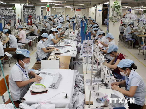 Garment sector earns over USD12 billion from exports