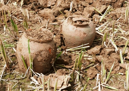 胡朝城遗迹区挖掘出众多古物