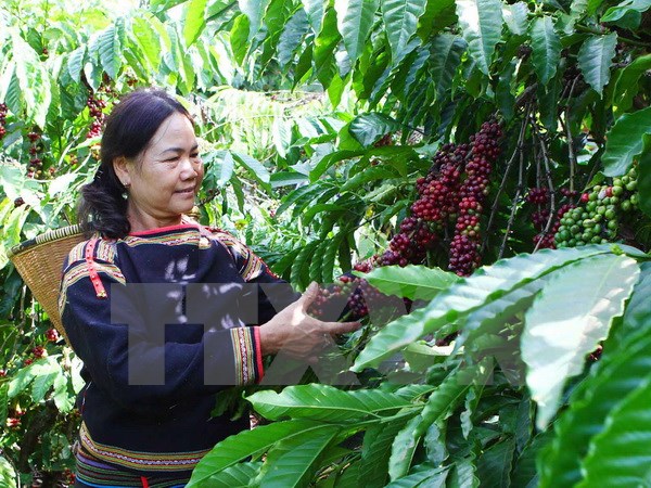 Central Highlands’ socio-economic development reviewed