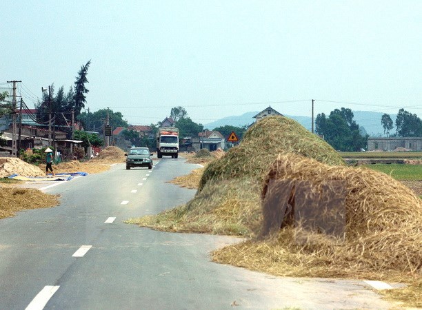 Hà Nam Nguy cơ tai nạn giao thông từ việc phơi rơm rạ trên đường