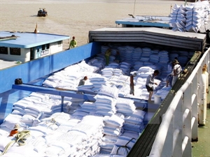 Over 2 million tonnes of rice shipped abroad