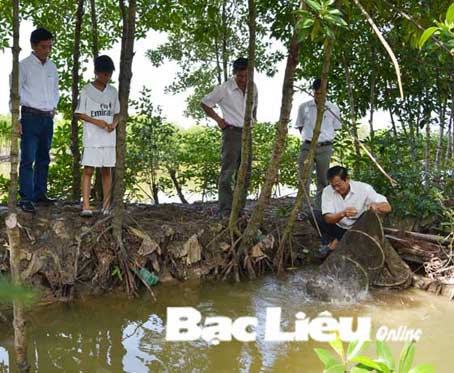 Quy hoạch vùng nuôi tôm sạch và liên kết với doanh nghiệp bao tiêu sản phẩm
