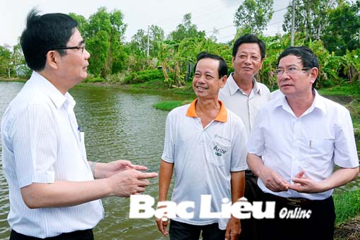 Nâng cao hiệu quả và nhân rộng mô hình lúa - tôm