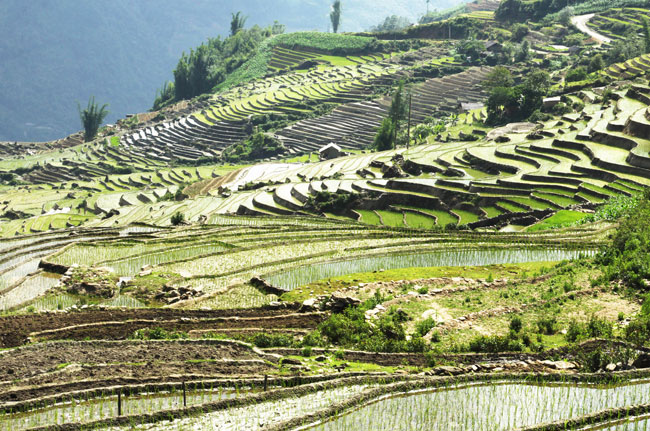 衣谛的农忙时节