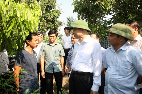 Phó Thủ tướng Vũ Văn Ninh kiểm tra việc xây dựng nông thôn mới tại Hưng Yên