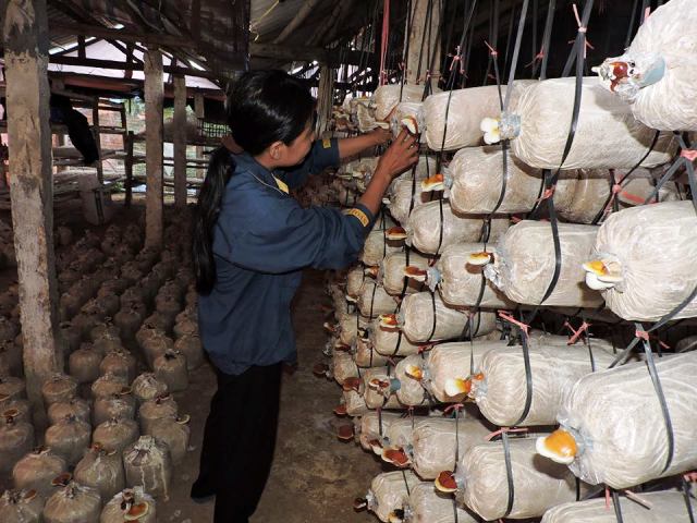 Cần mạnh tay hơn trong xử lý cơ sở vi phạm an toàn thực phẩm