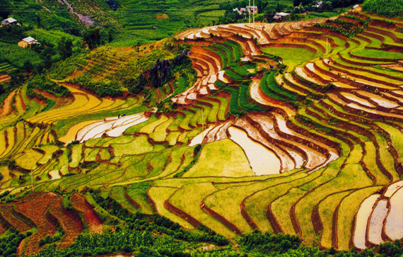 La beauté des champs en terrasses à Mu Cang Chai