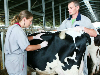 New Zealand Minister for food safety visits Vietnam