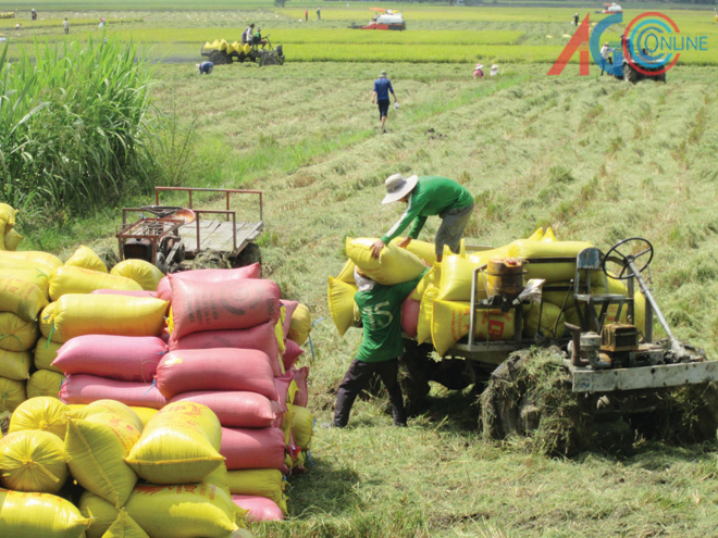 Phase II “Enhancing functions of agricultural cooperatives in Vietnam” project concludes