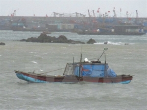 - Quang Ninh se rétablit après l’inondation