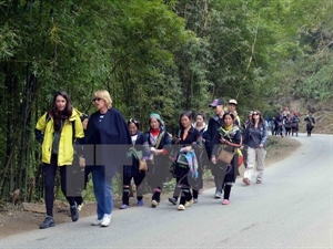 Sa Pa récolte les fruits de l autoroute Hanoi-Lao Cai pour le tourisme