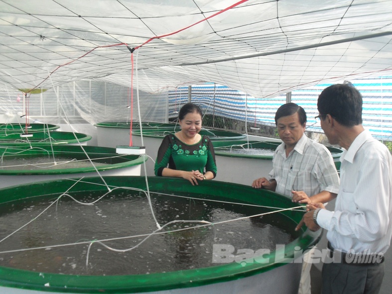 Kiểm tra Dự án tiếp nhận và hoàn thiện quy trình sinh sản nhân tạo tôm càng xanh