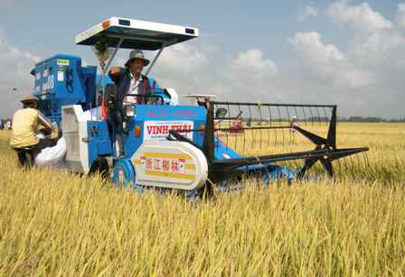 Rice exports hit over USD1 2 billion