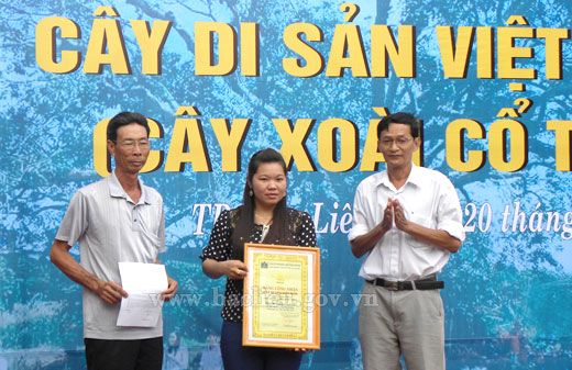 Cây Xoài 300 năm tại Bạc Liêu được công nhận là Cây Di sản Việt Nam