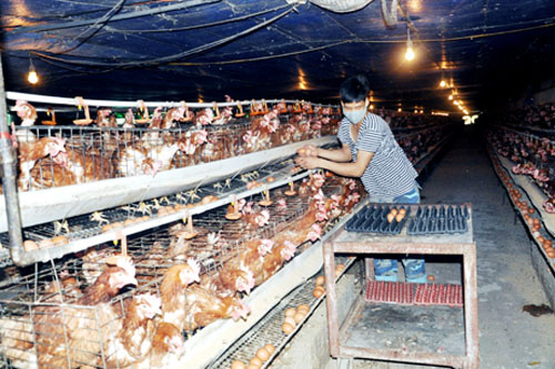 Quảng Yên Quảng Ninh  Phấn đấu giá trị sản xuất tăng bình quân hàng năm 16,5
