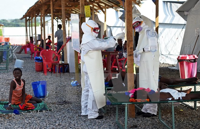 Khai mạc Hội nghị quốc tế Liên minh châu Phi về dịch bệnh Ebola