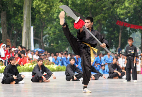 - 1ère Coupe internationale des arts martiaux traditionnels du Vietnam