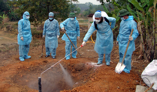 Thành phố Hồ Chí Minh Xe máy chạy ngược chiều gây tai nạn liên hoàn