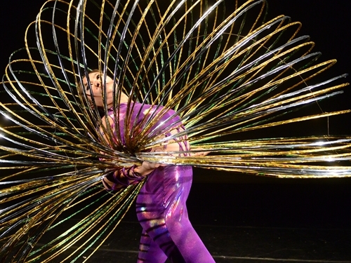 Echange artistique Vietnam – Taïwan