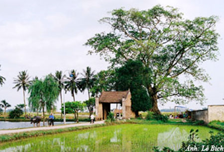 Mẹ lặng thầm như vậy đã bao năm