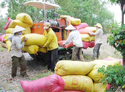 Tín dụng cho nông nghiệp - nông thôn Khoanh nợ, xóa nợ và tái đầu tư khi sản xuất gặp thiên tai, dịch bệnh