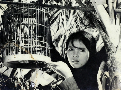 Semaine du film vietnamien au Paraguay
