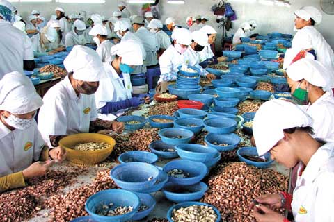 Sharp reductions in eight-month agricultural, forestry and fishery exports
