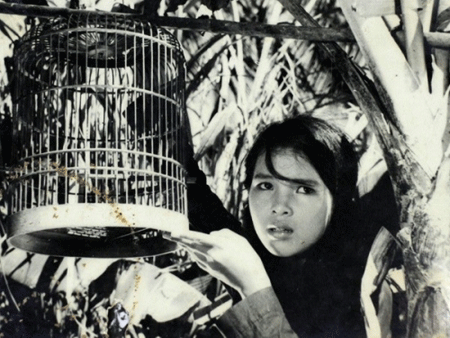 众多越南著名电影将在巴拉圭放映