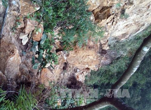 Đã thông đường qua điểm sạt lở núi gây ách tắc giao thông tuyến quốc lộ 4D, nơi giáp ranh giữa tỉnh Lai Châu và Lào Cai