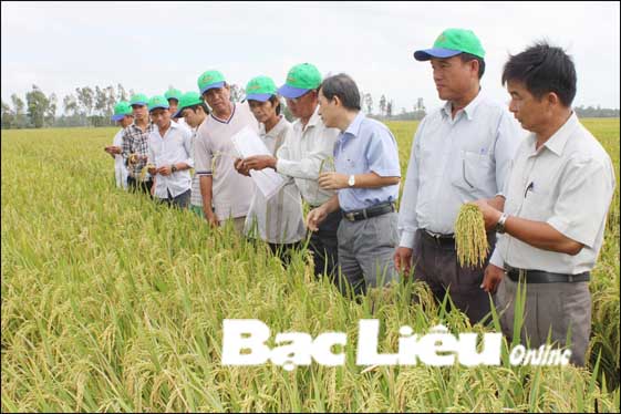 Nhiều mô hình sản xuất giúp nông dân làm giàu