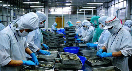 Bạc Liêu Hội Doanh nghiệp trẻ cần sự trợ sức để phát triển