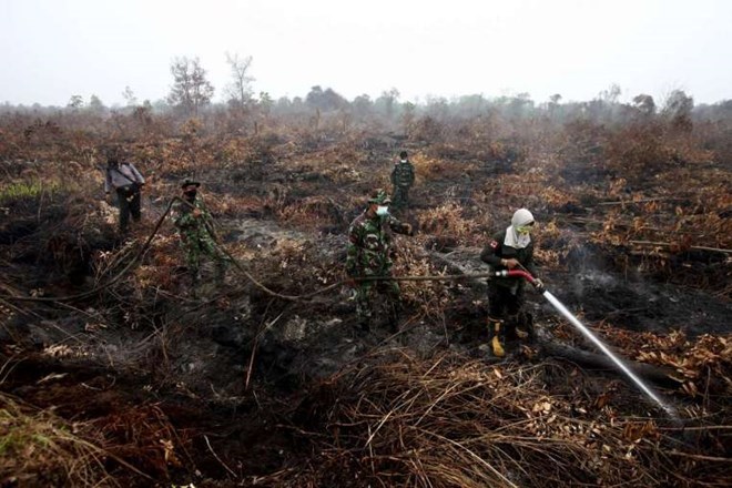 Indonesia deploys 25 aircraft to put out forest fires