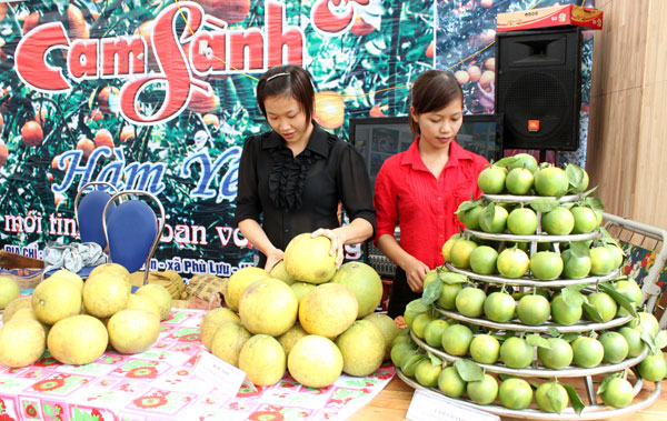 - Tuyên Quang accueillera la foire de l’agriculture et du commerce de la région du Nord-Ouest de 2015