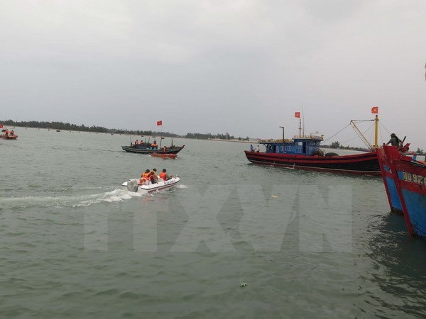 Bình Định Khẩn trương tìm kiếm ngư dân mất tích trên biển
