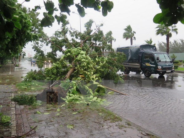 Nhiều tuyến quốc lộ bị ảnh hưởng do bão số 3