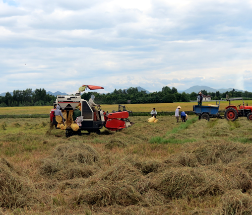 Phong Điền Quyết tâm đạt 16 17 chỉ tiêu Nghị quyết Đại hội Đảng bộ huyện