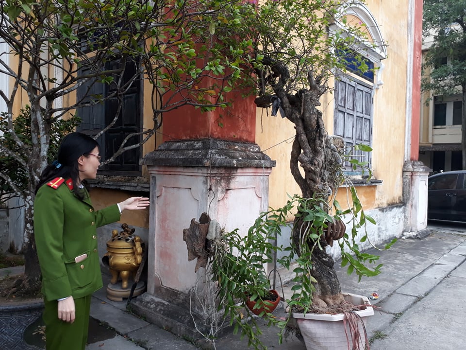 Phá án ma túy, phát hiện ổ nhóm chuyên trộm cắp cây cảnh có giá trị