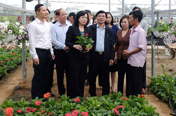 Huy động sức mạnh tổng hợp, đưa Phúc Thọ thành huyện nông thôn mới